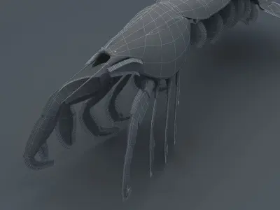 Laomediidae Shrimp Prawn Low-poly 3D model