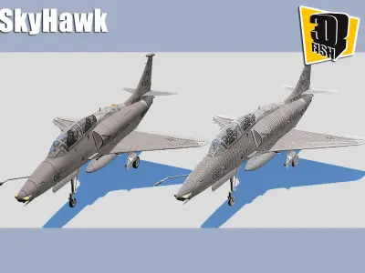 Skyhawk Airforce Battleplane 3D model