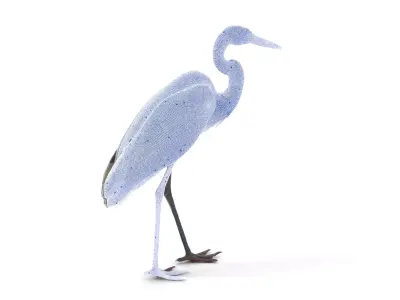 Elegant Heron model pack Low-poly 3D model