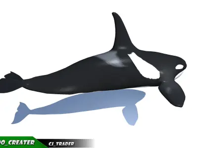 Low-Poly Killer Whale Rigged Animated 3D model Low-poly 3D model