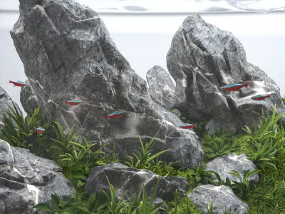 Aquascape aquarium Iwagumi 3D model