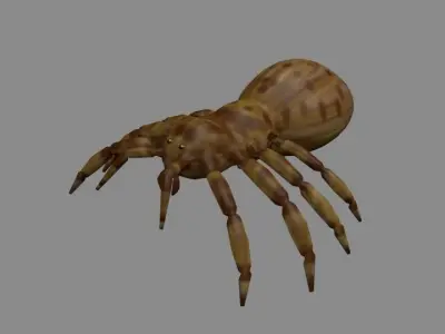Spider game ready Low-poly 3D model