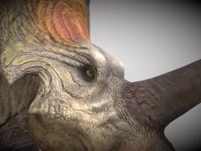 Styracosaurus  V2 Low-poly 3D model