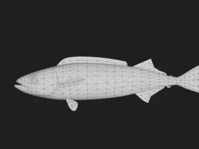 Oilfish Low-poly 3D model