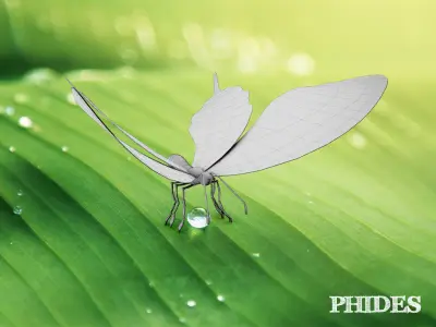 Butterfly 1 on leaf 3D model