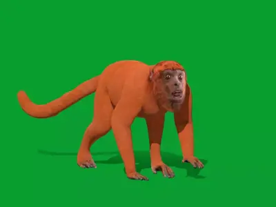 Howler Monkey Free 3D model