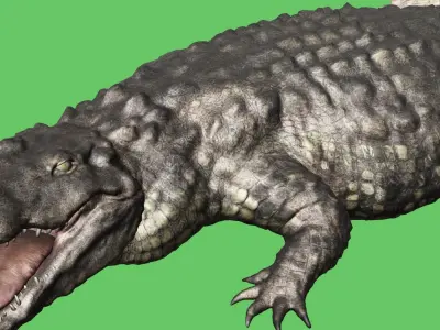 3D Model crocodile alligator Low-poly 3D model Low-poly 3D model