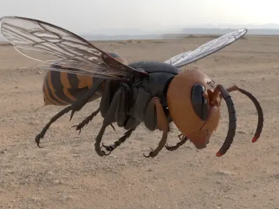 Vespa Mandarinia Rigged 3D model