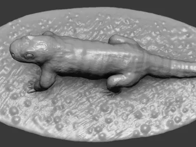 Salamander lizard 3D print model
