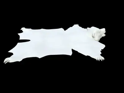 Bear Rug Low-poly 3D model