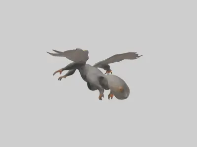 Flying Lemur gliding model Low-poly 3D model