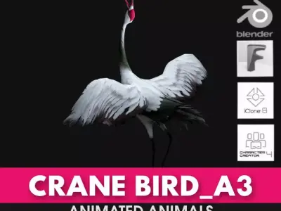 Crane Bird A3 3D model