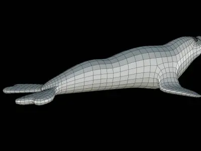 Elephant Seal Base Mesh Low-poly 3D model