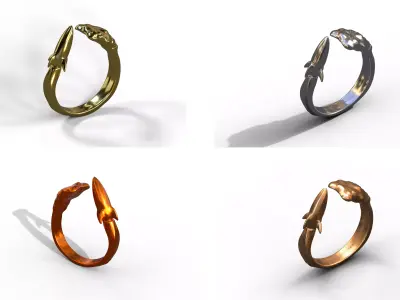 Pack 4 High-Quality 3D Ring Jet Model Low-poly 3D model