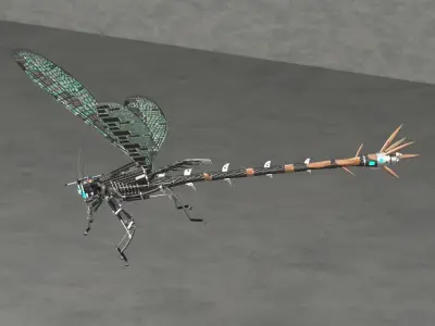 Dragonfly model with long legs 3D model