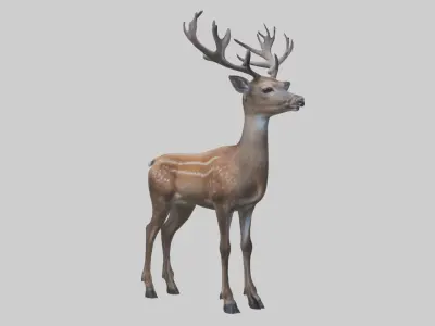 Sika deer Low-poly 3D model