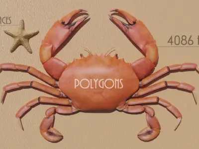 Sea Creatures Low-poly 3D model