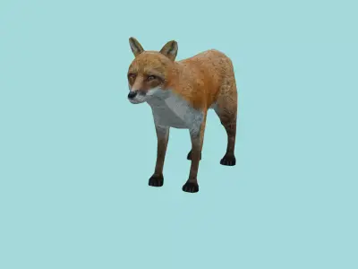 fox lowpoly 3d model 3D model