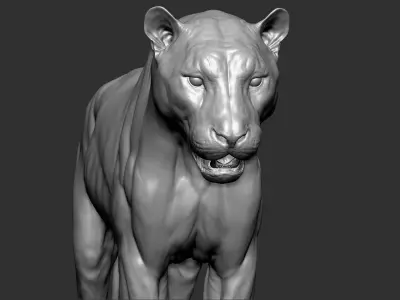 Tiger VFX ULTRA Cinematic Realistic Zbrush Sculpt 1 3D model