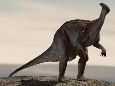 Parasaurolophus 3D Rigged model Low-poly 3D model