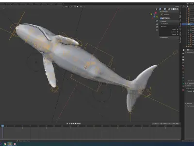 Humpback Whale rigged animated 3D model
