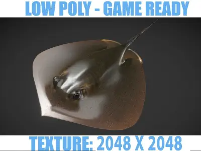 Akae 01 Low-poly 3D model