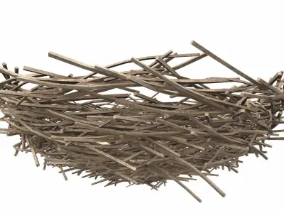 Bird nest v2 3D model