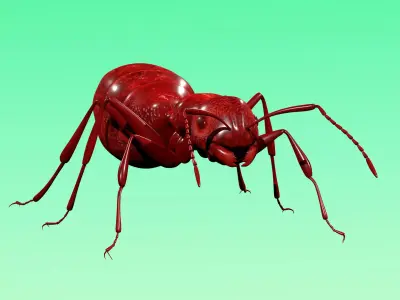 Red Ant Rig Low-poly 3D model