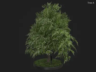 Nature Assets - Bird Cherry Tree Low-poly 3D model