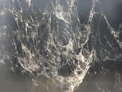 Spiderweb Bundle 3D model