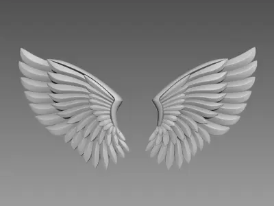Wings relief 3D model