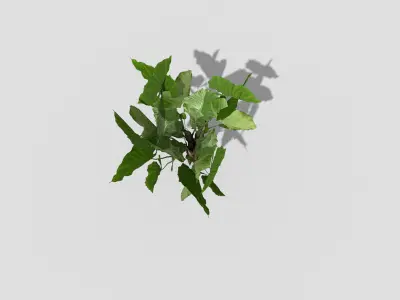 Low poly Plant ivy Low-poly 3D model
