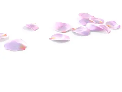 Realistic Rose Petals 3D Model - Ultra-High Quality 4K PBR Asset 3D model