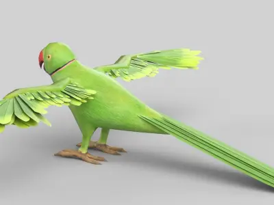 parrot flying in air Low-poly 3D model