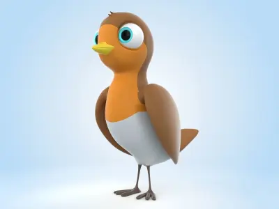 Robin Bird 3D model