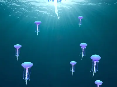 Point Cache animated jellyfish  3D model