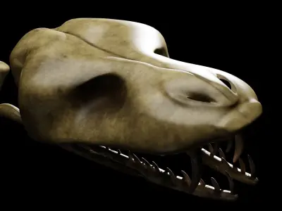 SNEAK SKULL Low-poly 3D model