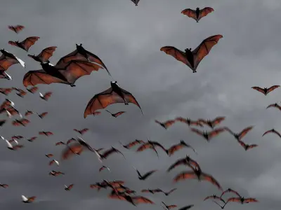 Animated Bats - Geometry Nodes 3D model