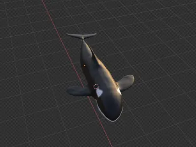  killer whale Free 3D model