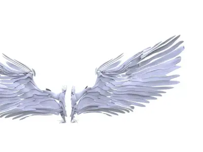 Angel and bird wings 3D model
