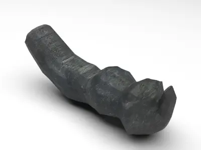 Dunkleosteus Tooth 3D model