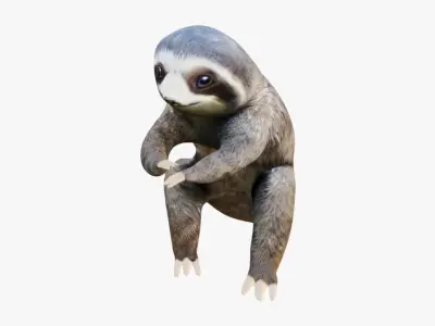 Sloth Free 3D model