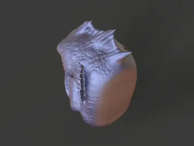 HEAD-R5 high poly sculpt  3D model