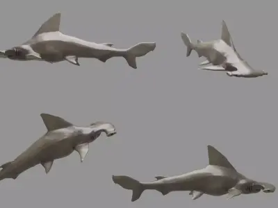 hammerhead shark Low-poly 3D model