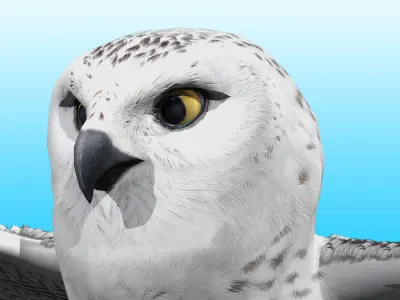 Snowy White Owl Rig 3D model