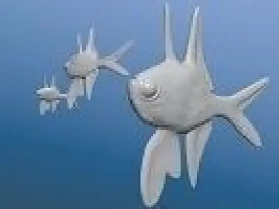 Benggai cardinal marine fish Low-poly 3D model