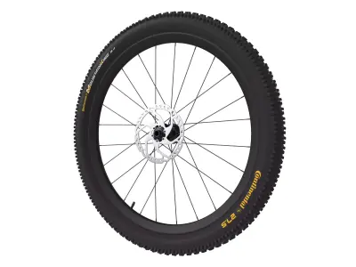 Bicycle Wheel 3D model