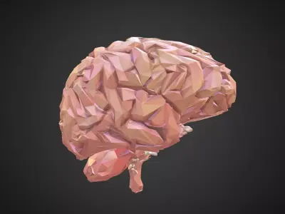 Brain Real Low Polygon Art Medical Low-poly 3D model