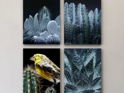 JUNIQE Cactus framed set-02 3D model