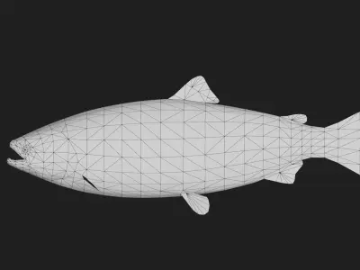 Trout Low-poly 3D model